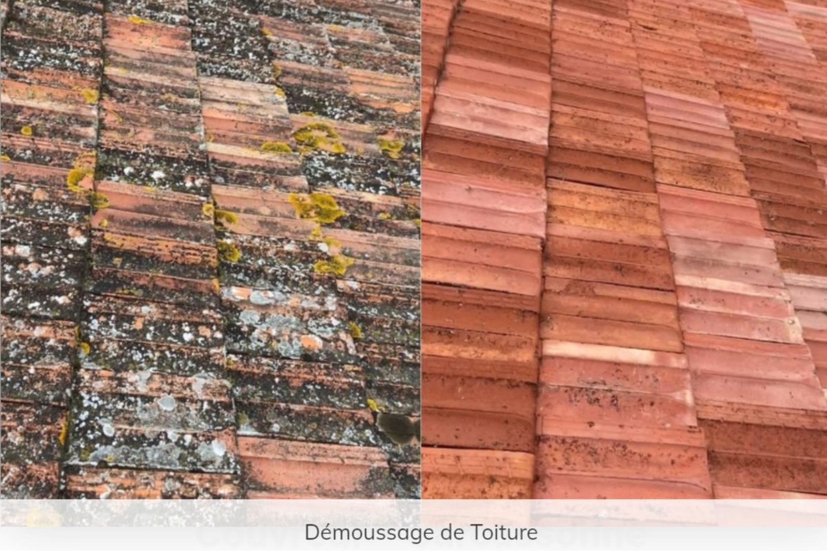 Reno toiture Carcassonne démoussage avant et après